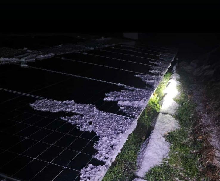 Malatya’da dolu yağışı kayısı bahçelerine zarar verdi