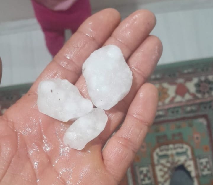 Malatya&rsquo;da dolu yağışı kayısı bah&ccedil;elerine zarar verdi
