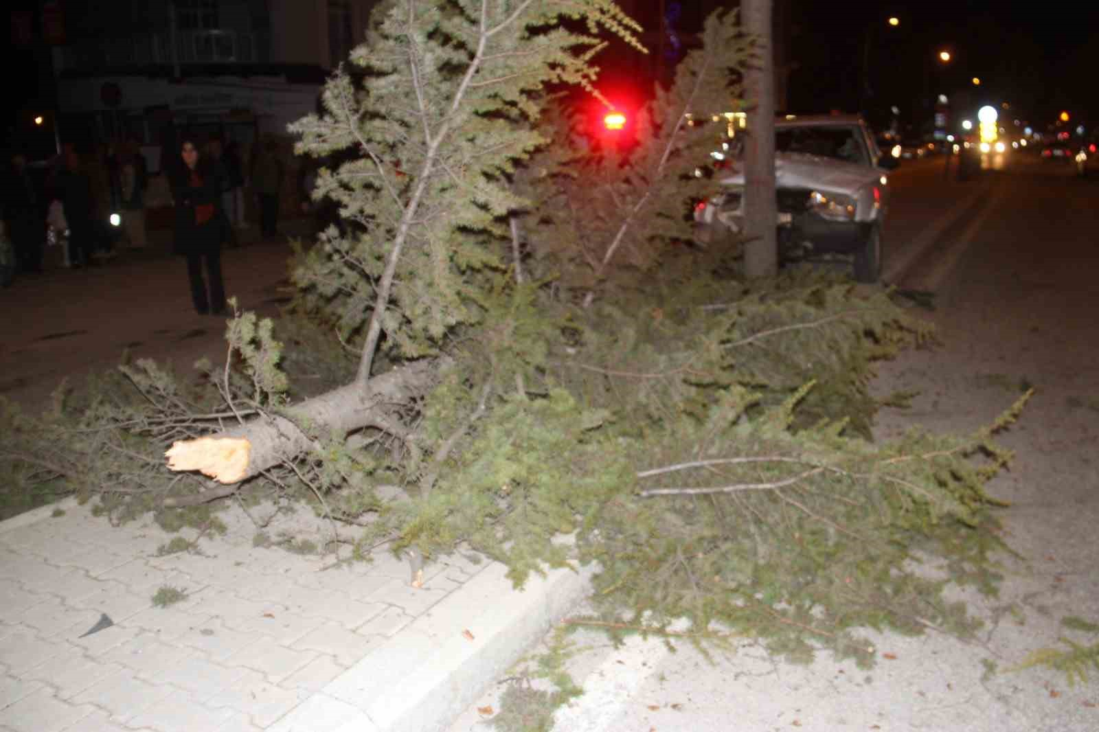 Konya’da otomobil refüjdeki ağaca çarptı: 6 yaralı