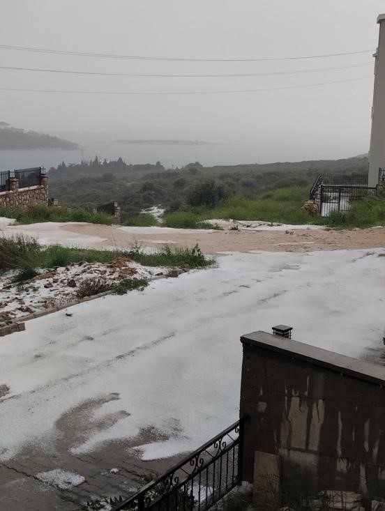 Seferihisar beyaza b&uuml;r&uuml;nd&uuml;
