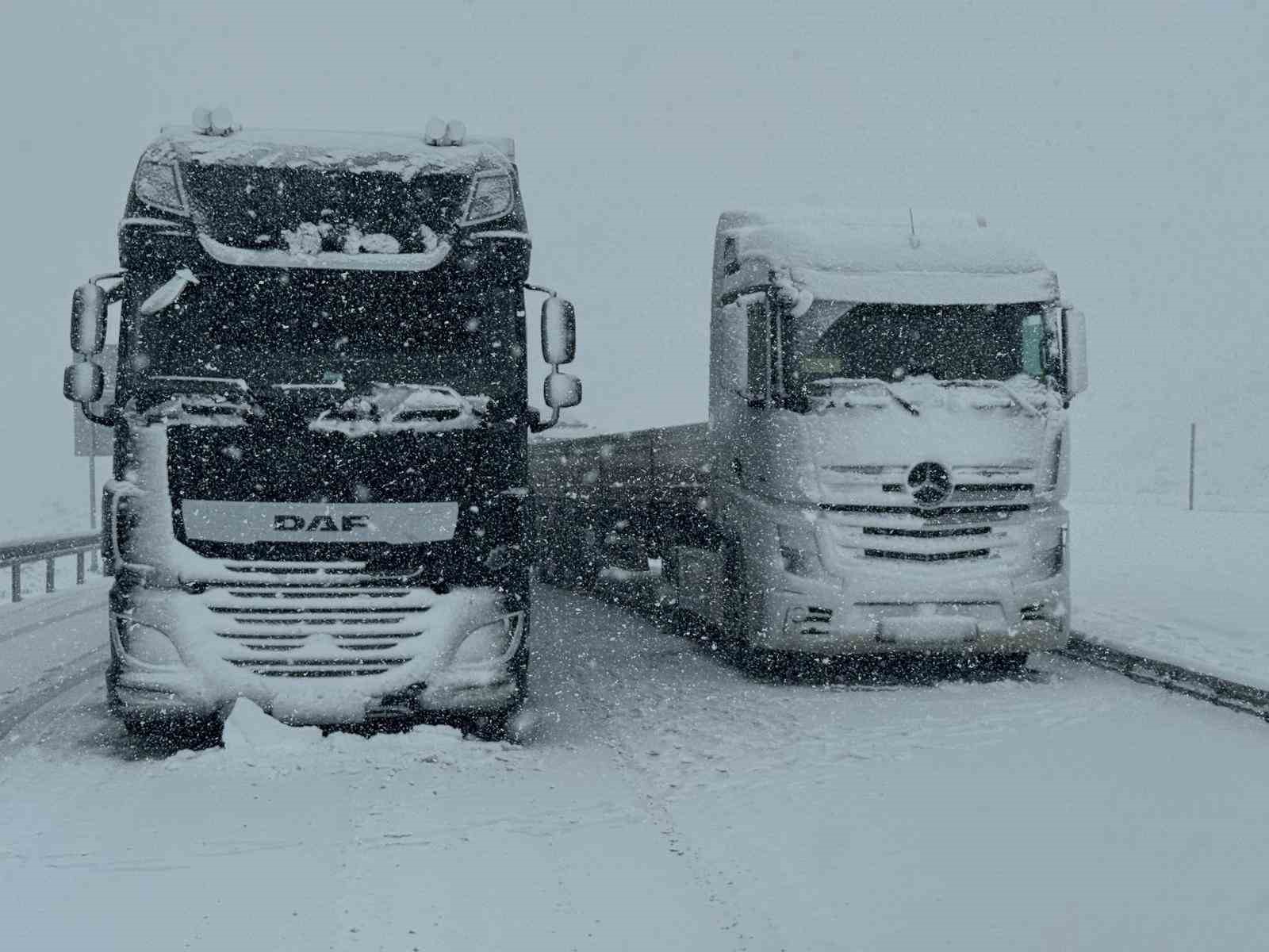 Van’da kar yağışı