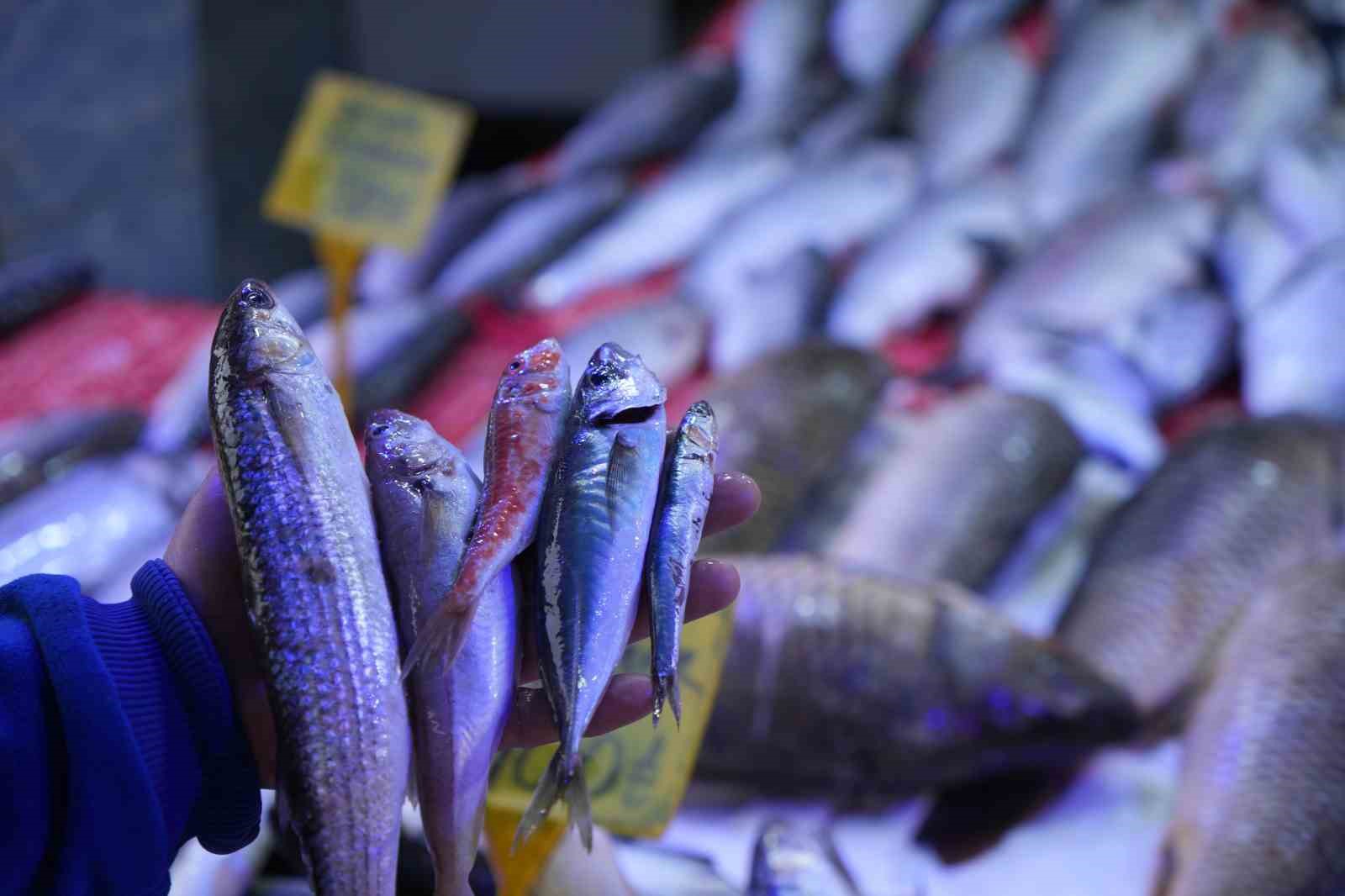 ’Vira Bismillah’tan vedaya: Sezonun son balıkları tezgahlarda