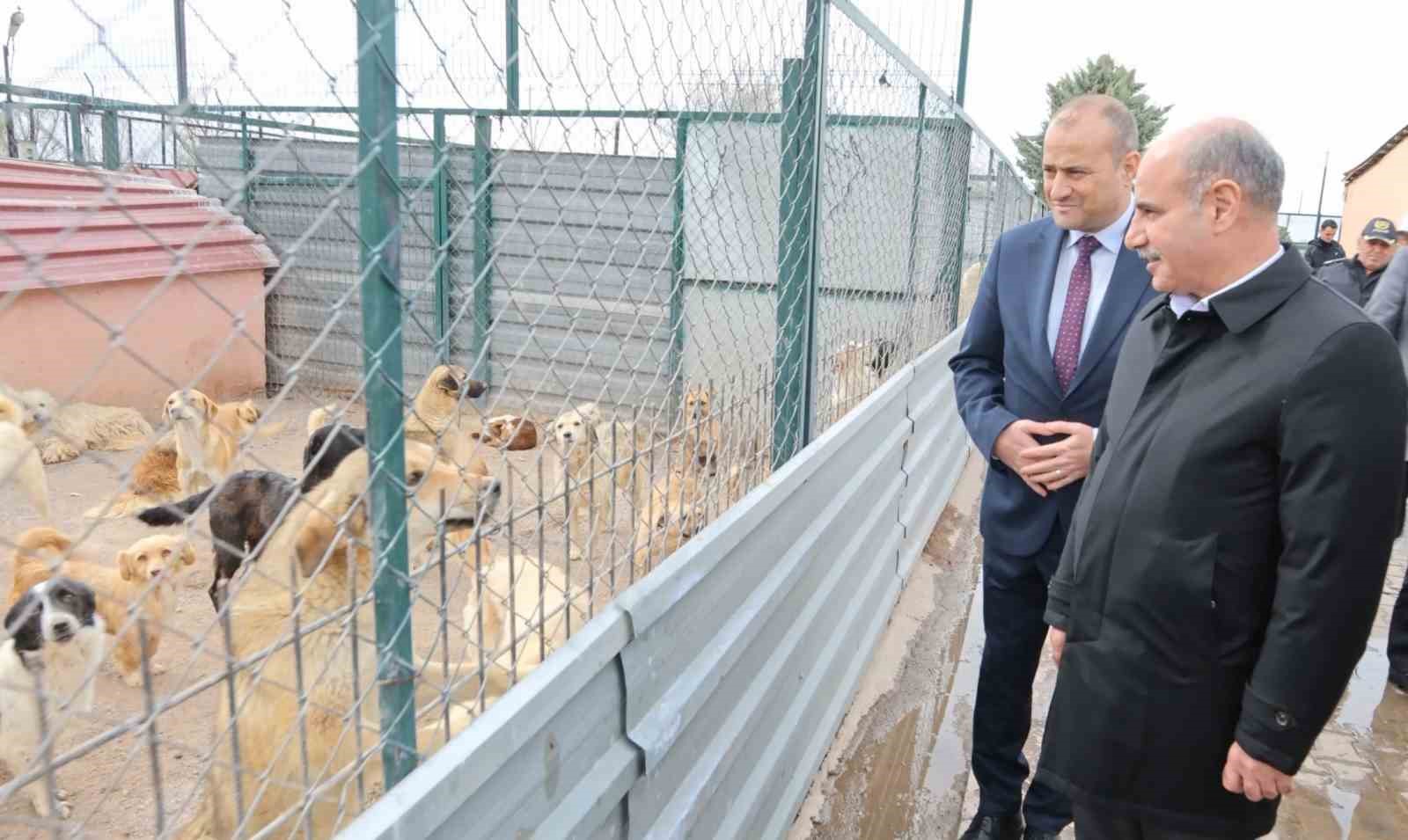 Bakan Yardımcısı Aktaş: "Sokak hayvanları ülkemizin olumsuz gündem maddelerinden biri"