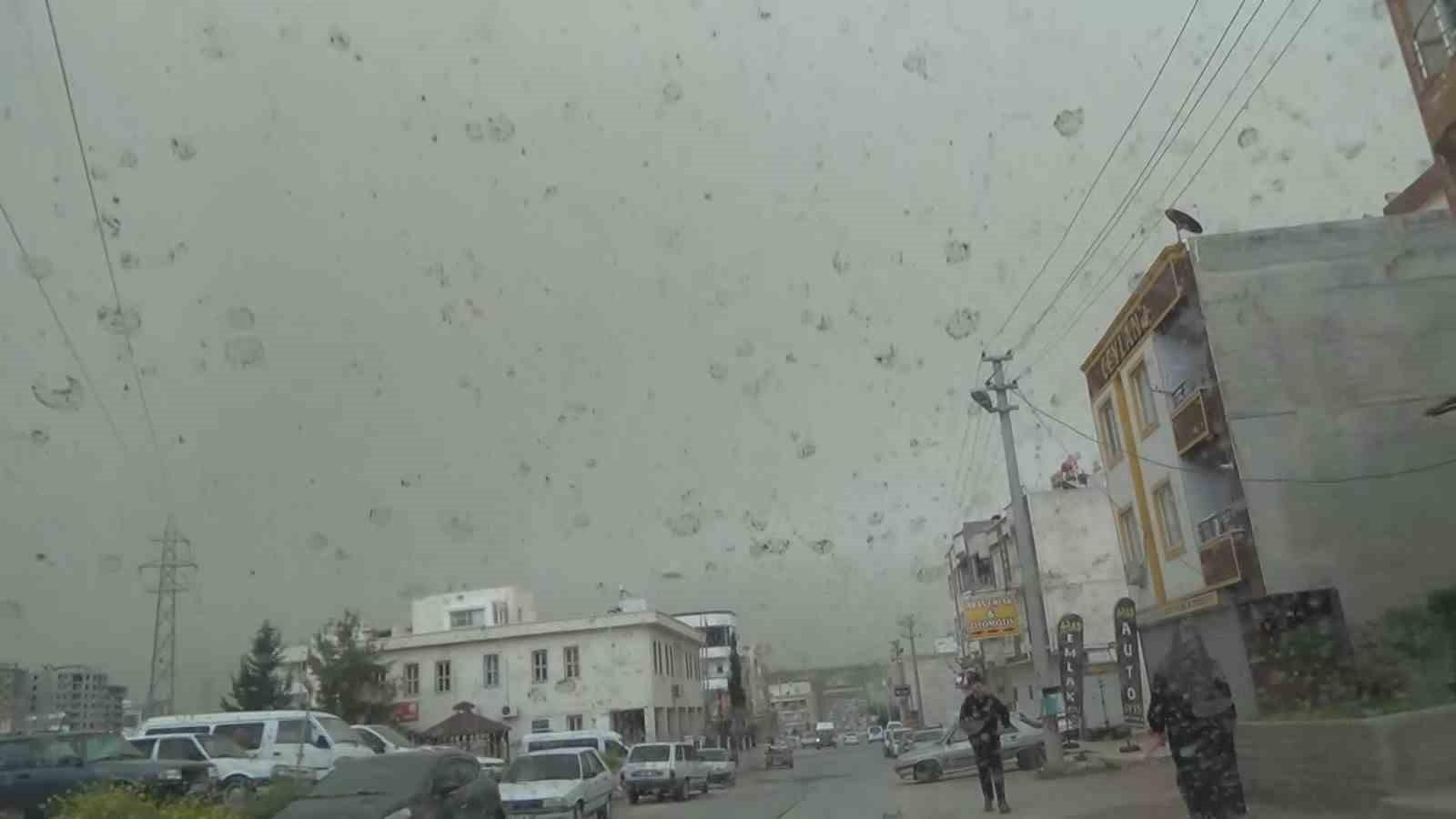 Şanlıurfa’da çamur yağdı