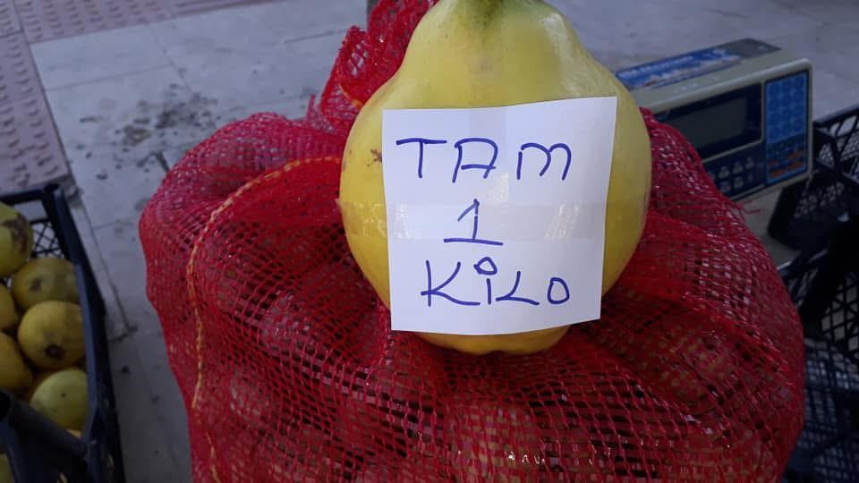 Sarıgöl’de limon ayva üretimi yaygınlaşıyor