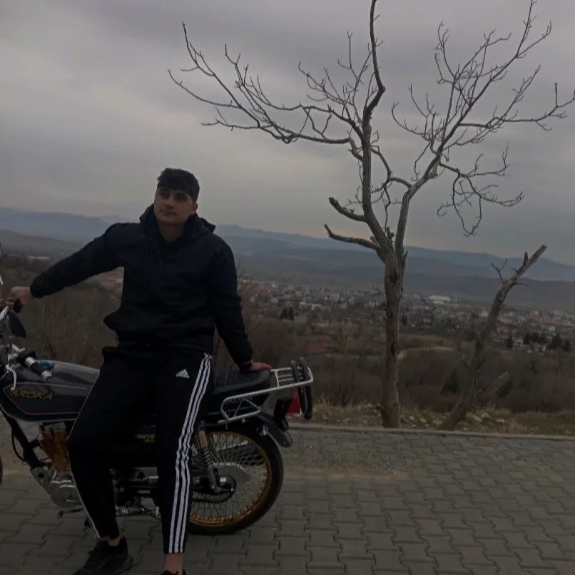 Düğün dönüşü otomobilin önüne çıkan domuz kazaya neden oldu: 1 ölü, 6 yaralı