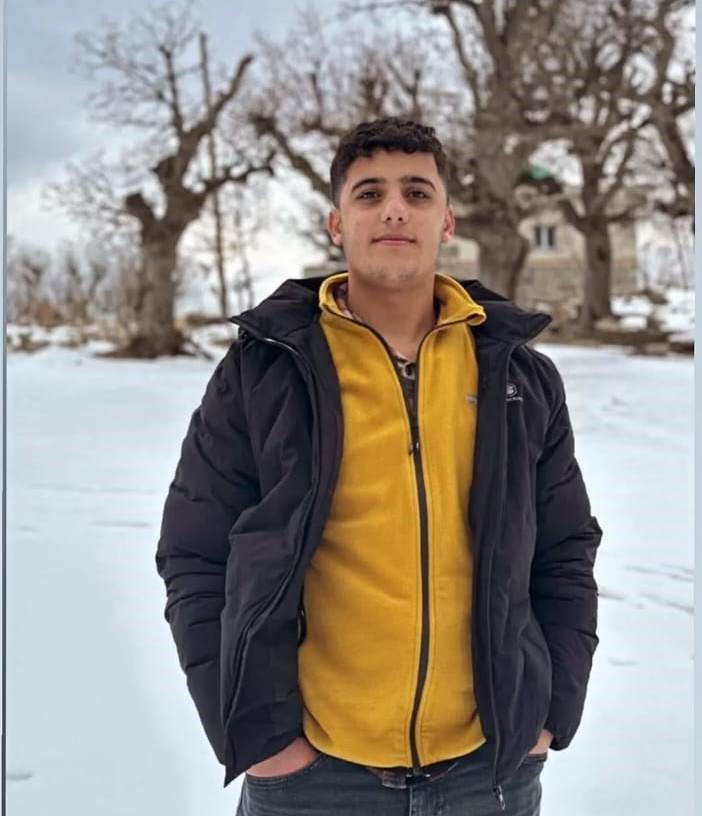 D&uuml;ğ&uuml;n d&ouml;n&uuml;ş&uuml; otomobilin &ouml;n&uuml;ne &ccedil;ıkan domuz kazaya neden oldu: 1 &ouml;l&uuml;, 6 yaralı
