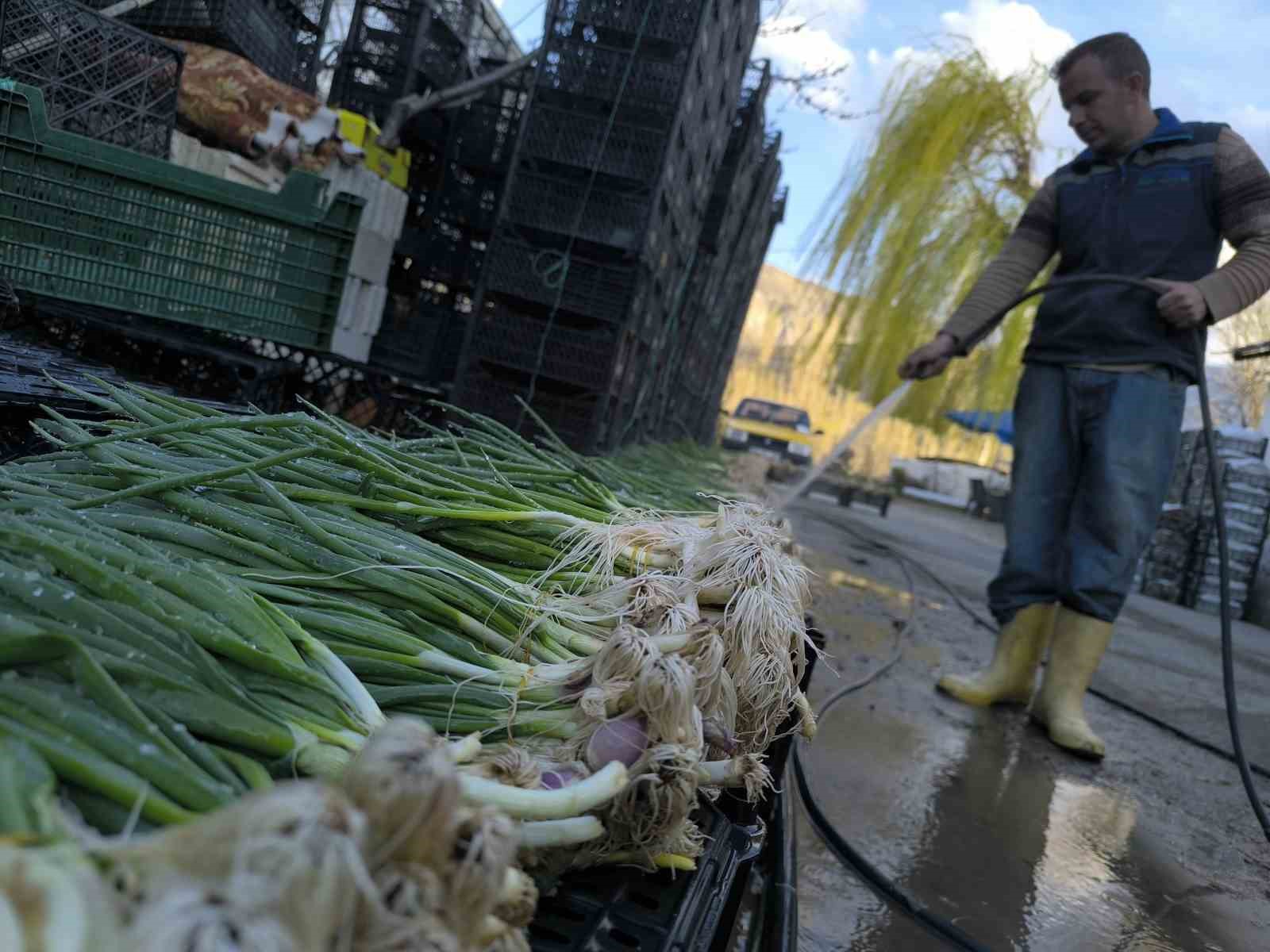 Uzundere&rsquo;de seralarda &uuml;retim yeniden başladı
