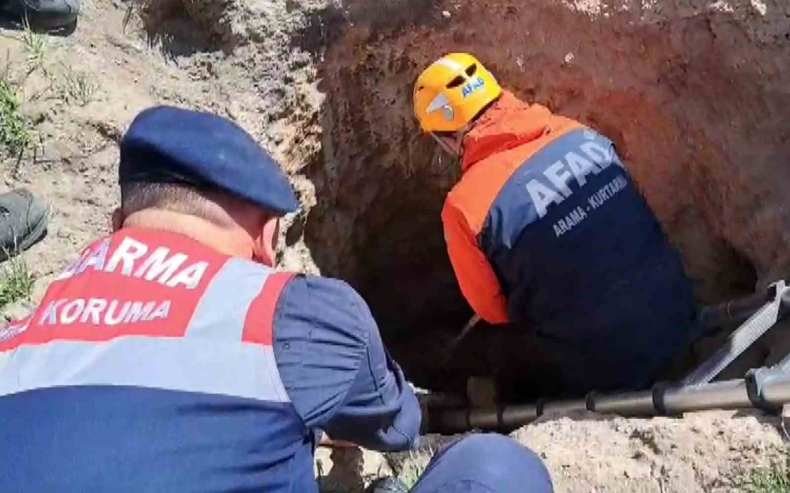 Çobanlar ihbar etti, kuyudaki porsuk kurtarıldı
