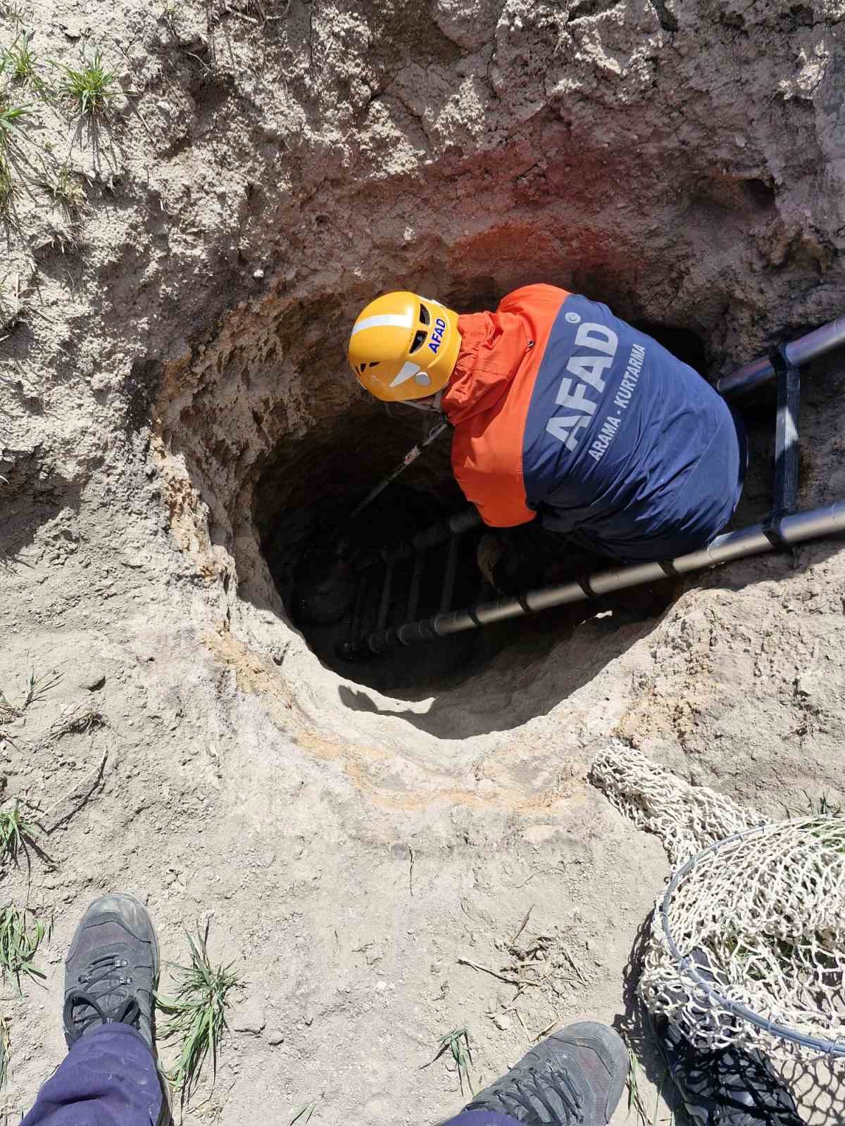 &Ccedil;obanlar ihbar etti, kuyudaki porsuk kurtarıldı
