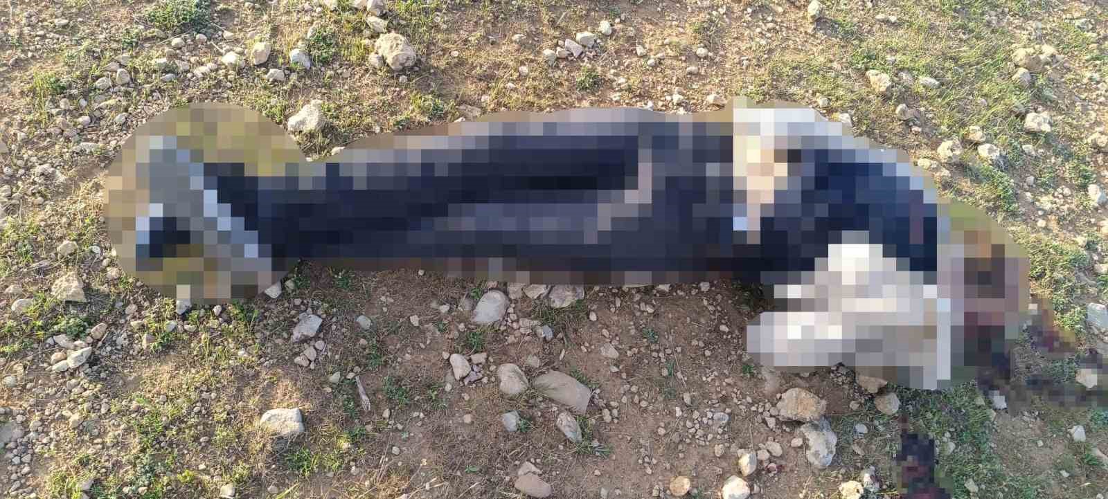 Mardin’de 1 kişi silahla vurulmuş halde bulundu