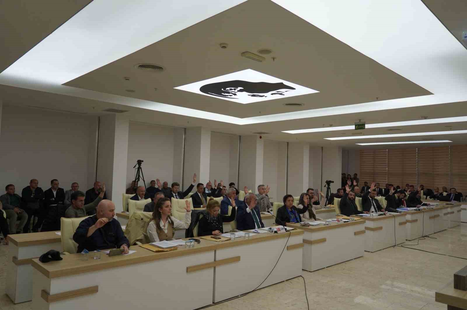 Sokak hayvanlarını sahiplendirme ve pasaport işlemleri i&ccedil;in &uuml;cret belirlenmesi konusu g&ouml;r&uuml;ş&uuml;ld&uuml;
