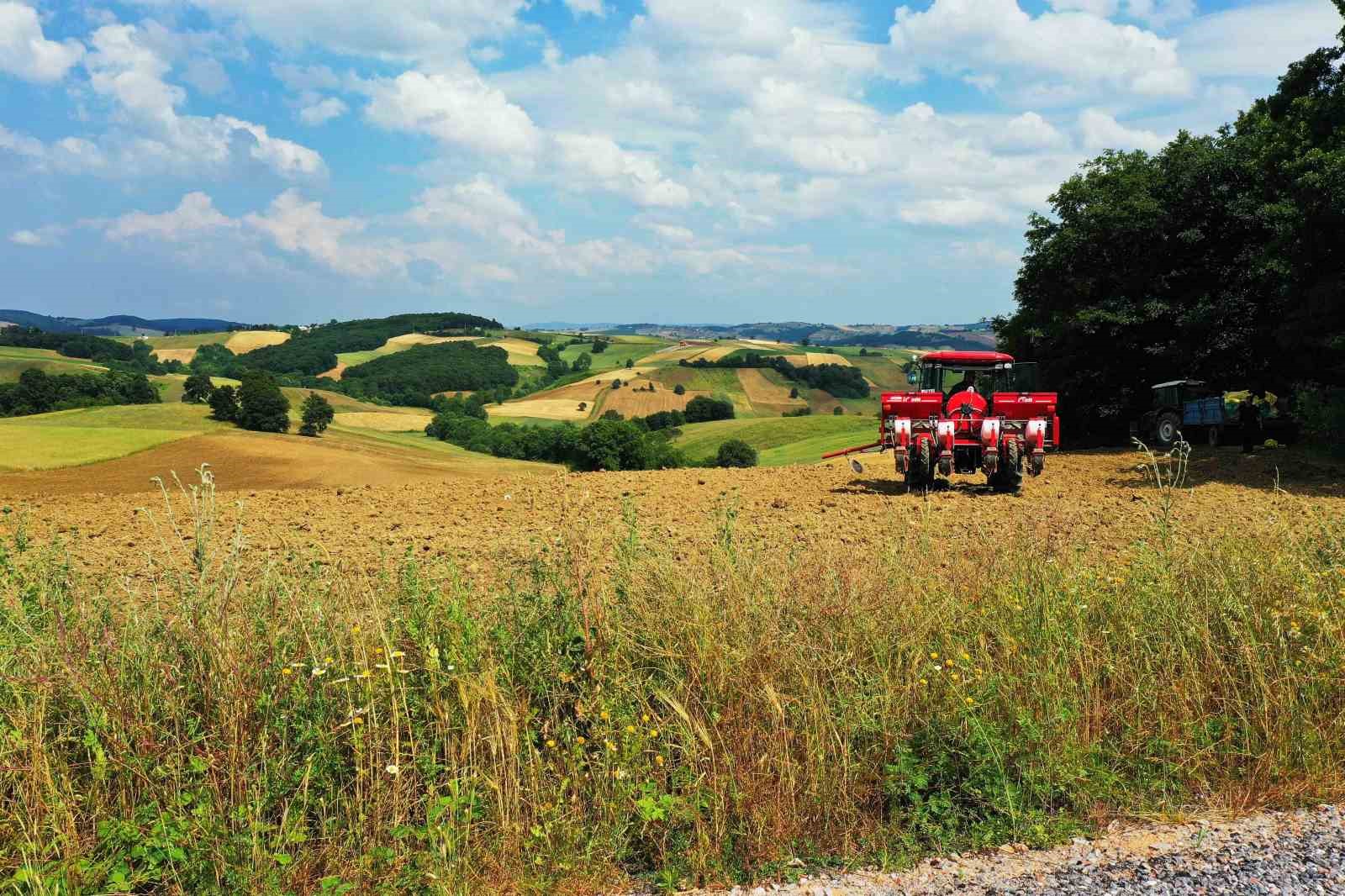 Meyve üreticilerine destek