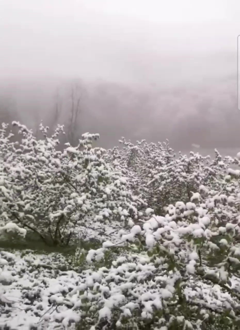 Zonguldak’ta Nisan ayında kar sürprizi