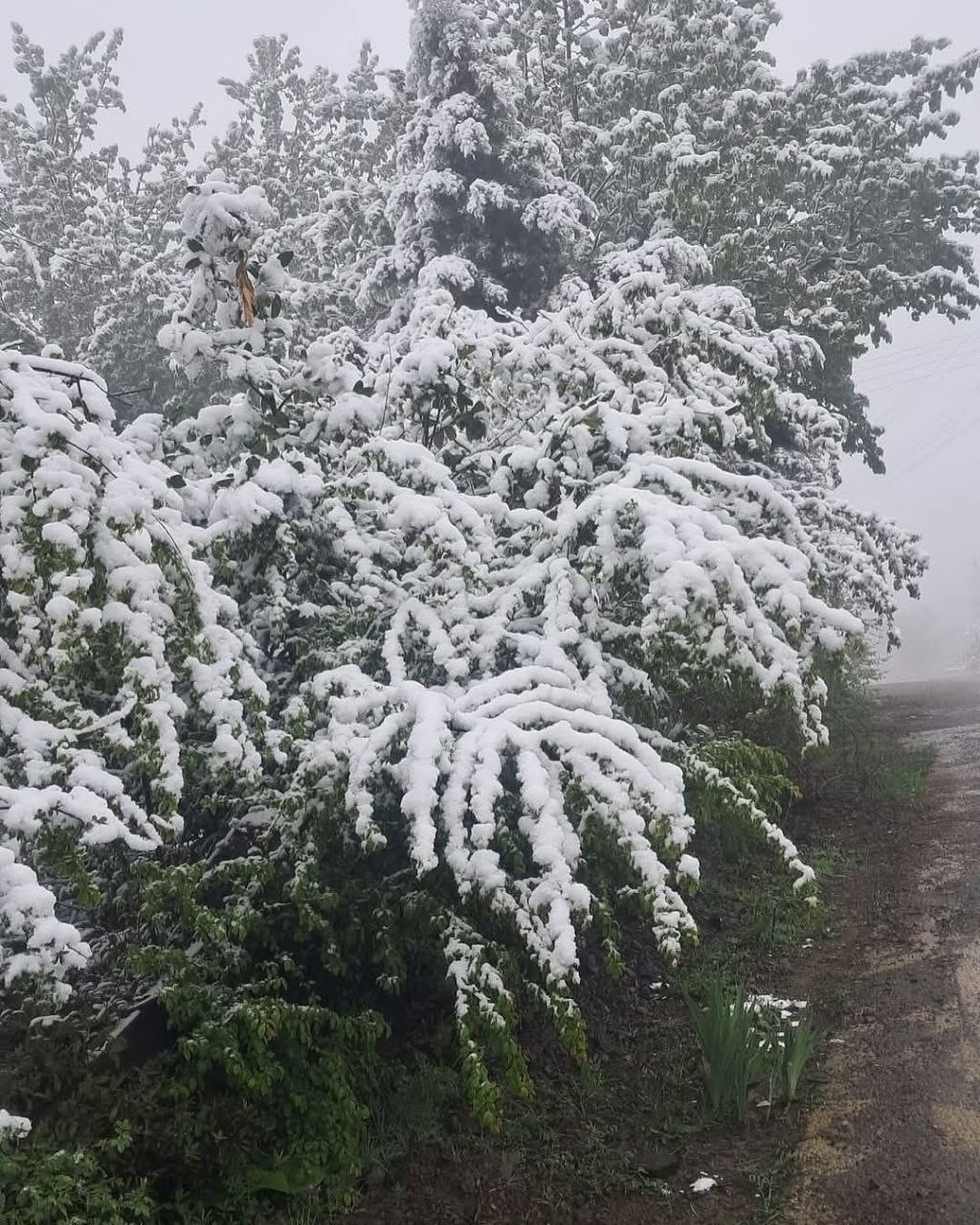 Zonguldak&rsquo;ta Nisan ayında kar s&uuml;rprizi
