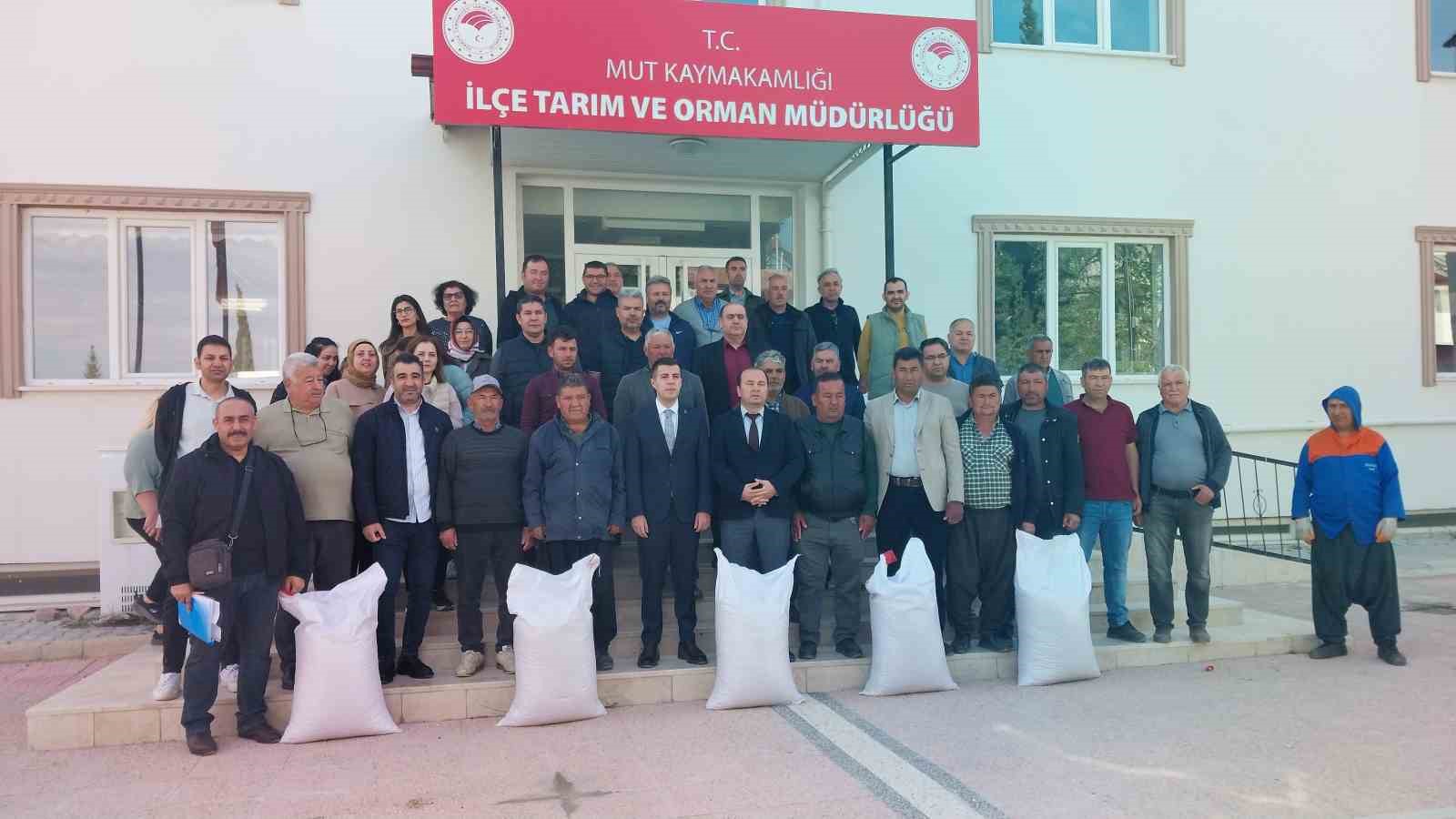 Mersin Mut’ta üreticiye tohum desteği
