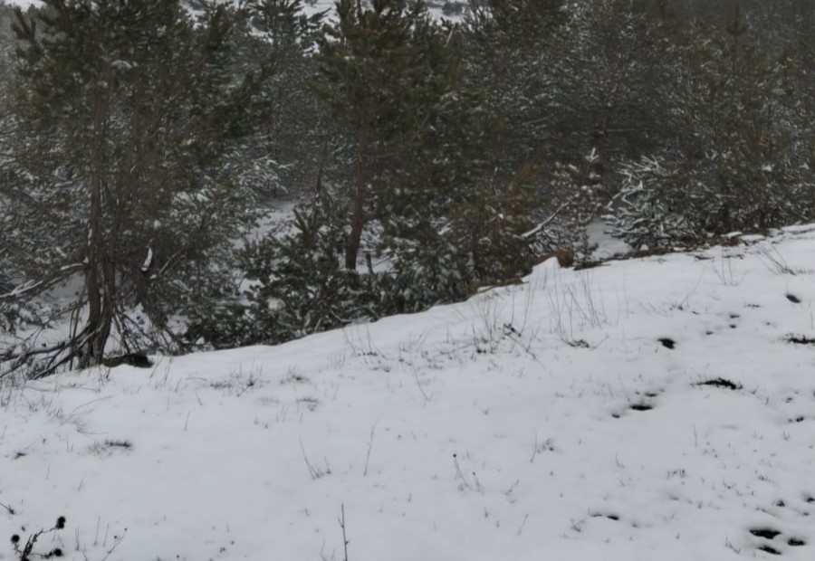 Y&uuml;ksek kesimler beyaza b&uuml;r&uuml;nd&uuml;
