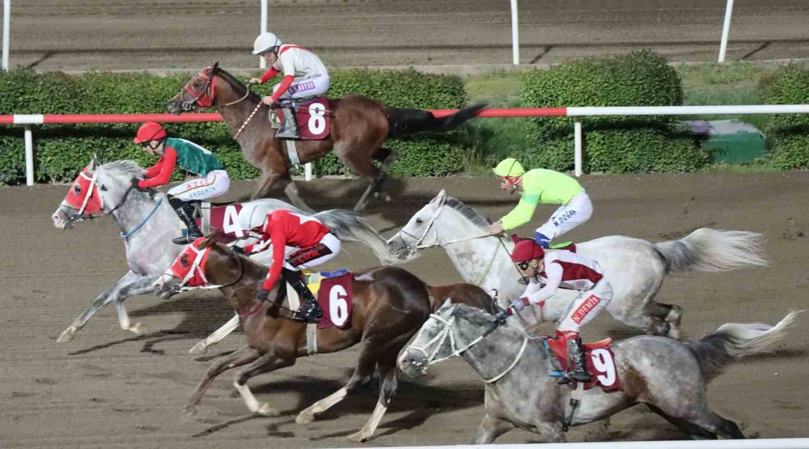 Şanlıurfa’da kurtuluş koşusu düzenlendi