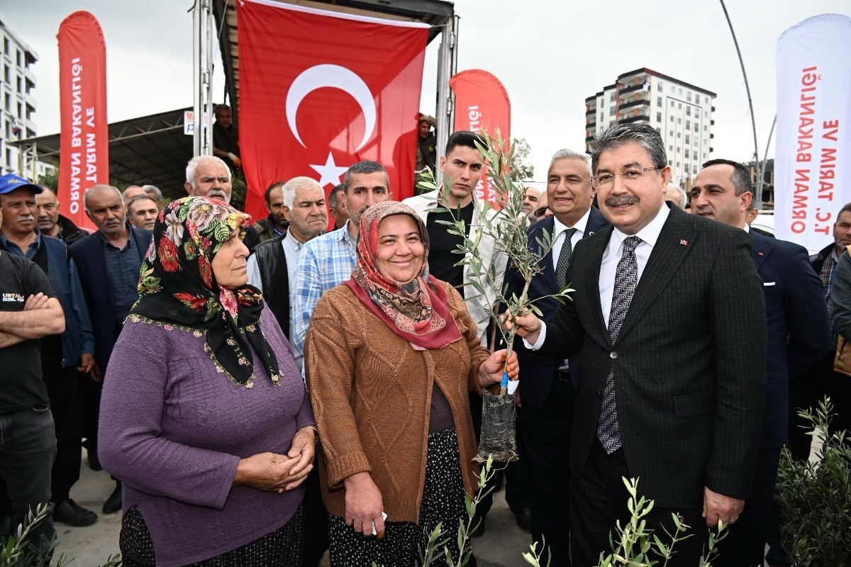 Osmaniye’de üreticiye 11 bin 500 sertifikalı zeytin fidanı dağıtıldı