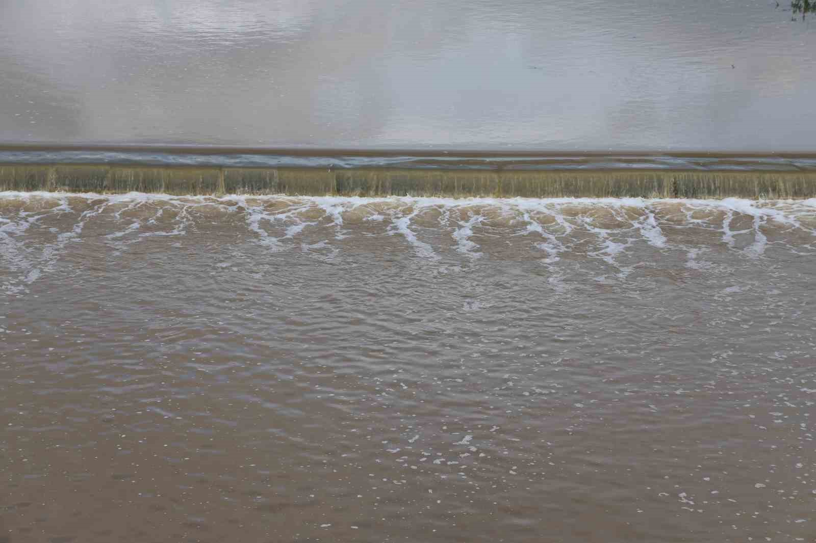 Çine çayı eski günlerine kavuşuyor, yağışlar çayın debisini arttırdı