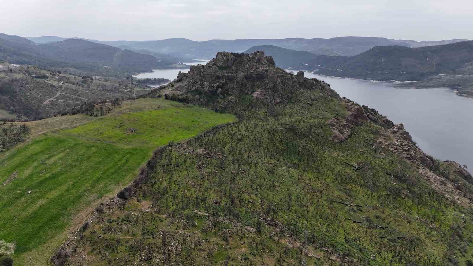 (&Ouml;ZEL) &Ccedil;anakkale&rsquo;de orman yangınlarında alevlere teslim olan Atikhisar Kalesi yeşermeye başladı
