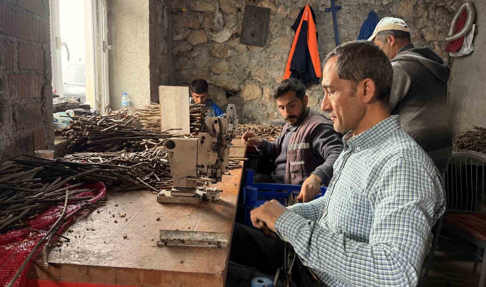 Tokat’ta üretilen narenciye üzümü fideleri 35 ile gönderiliyor