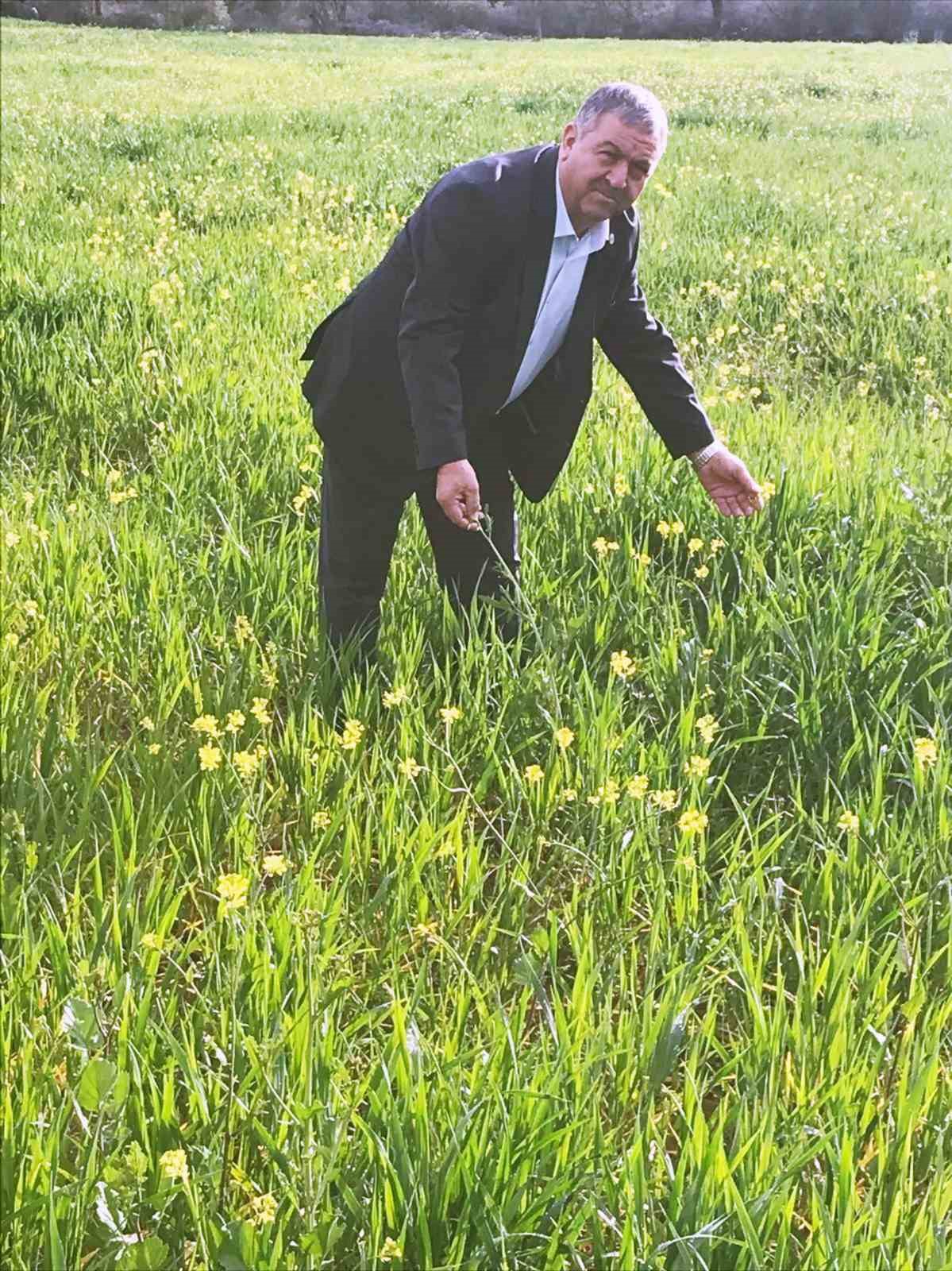 Muğla&rsquo;da son yağışlar &ccedil;ift&ccedil;iyi sevindirdi
