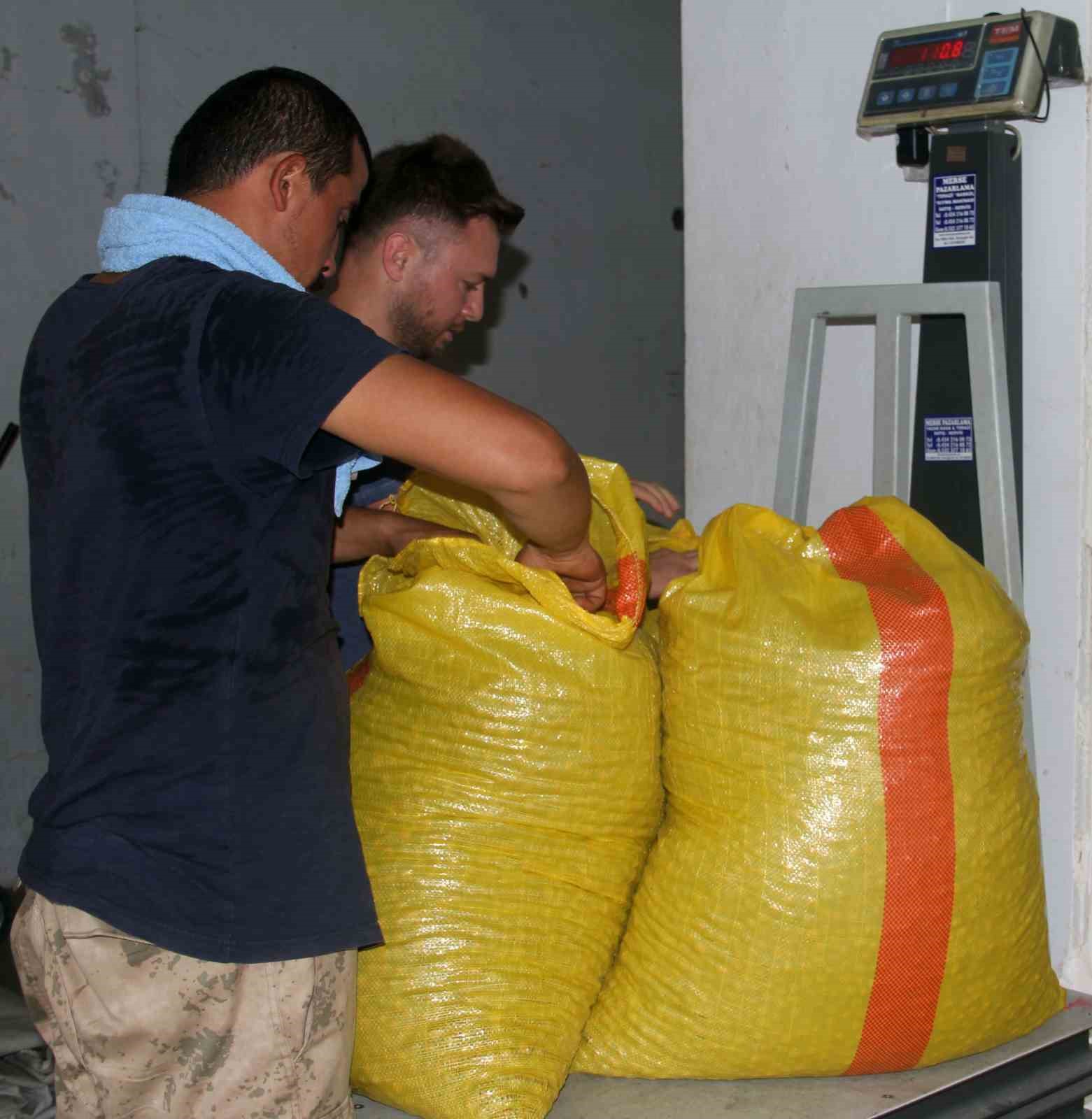 &Uuml;reticinin elinde fındık kalmayınca fındık fiyatı 150 TL&rsquo;yi aştı
