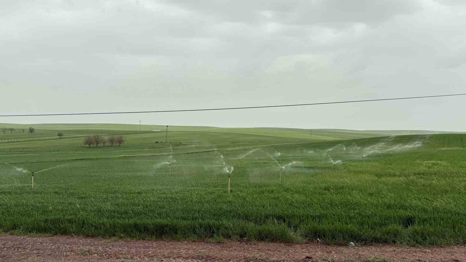 Diyarbakır’da ekili arazi yağmurda fıskiye ile sulandı