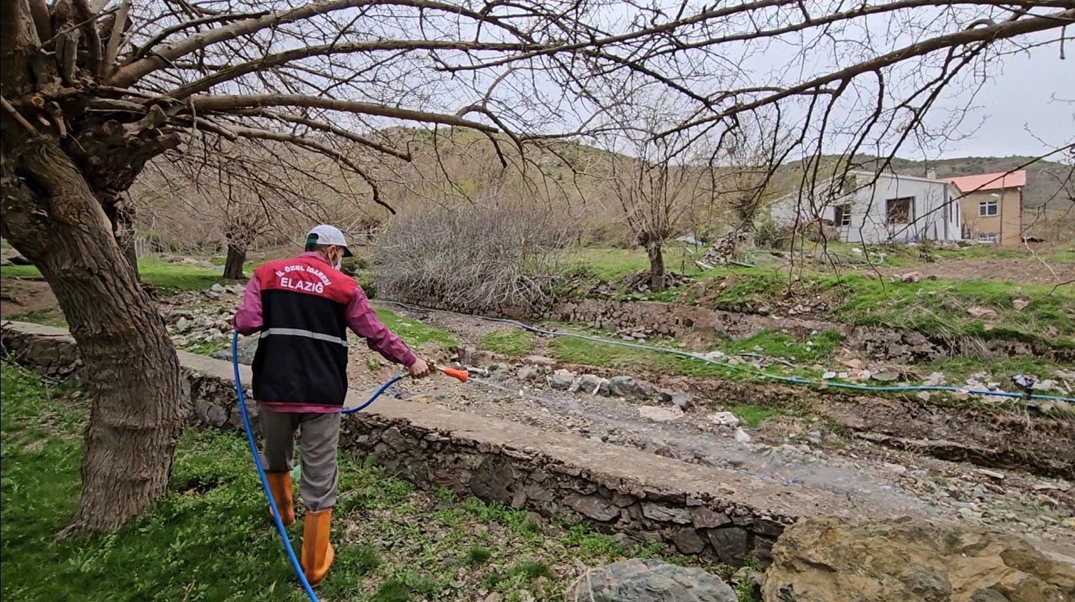 Elazığ’da larva ilaçlama çalışmaları sürüyor