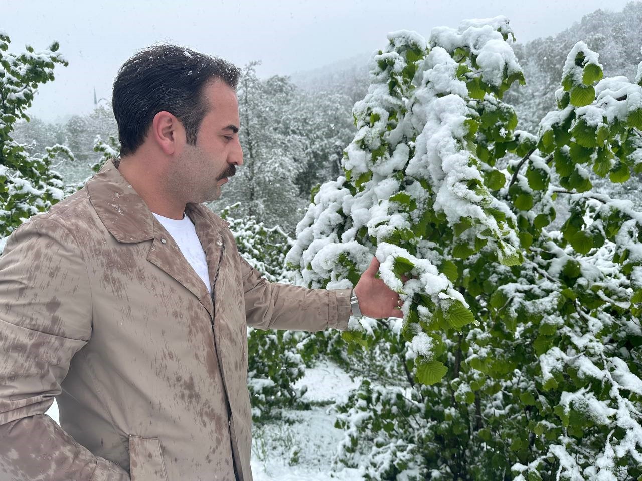 Ordu’nun yüksek kesimlerinde kar yağışı: Fındık üreticileri tedirgin oldu