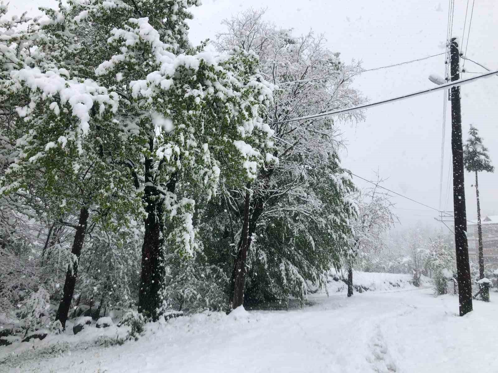 Ordu&rsquo;nun y&uuml;ksek kesimlerinde kar yağışı: Fındık &uuml;reticileri tedirgin oldu

