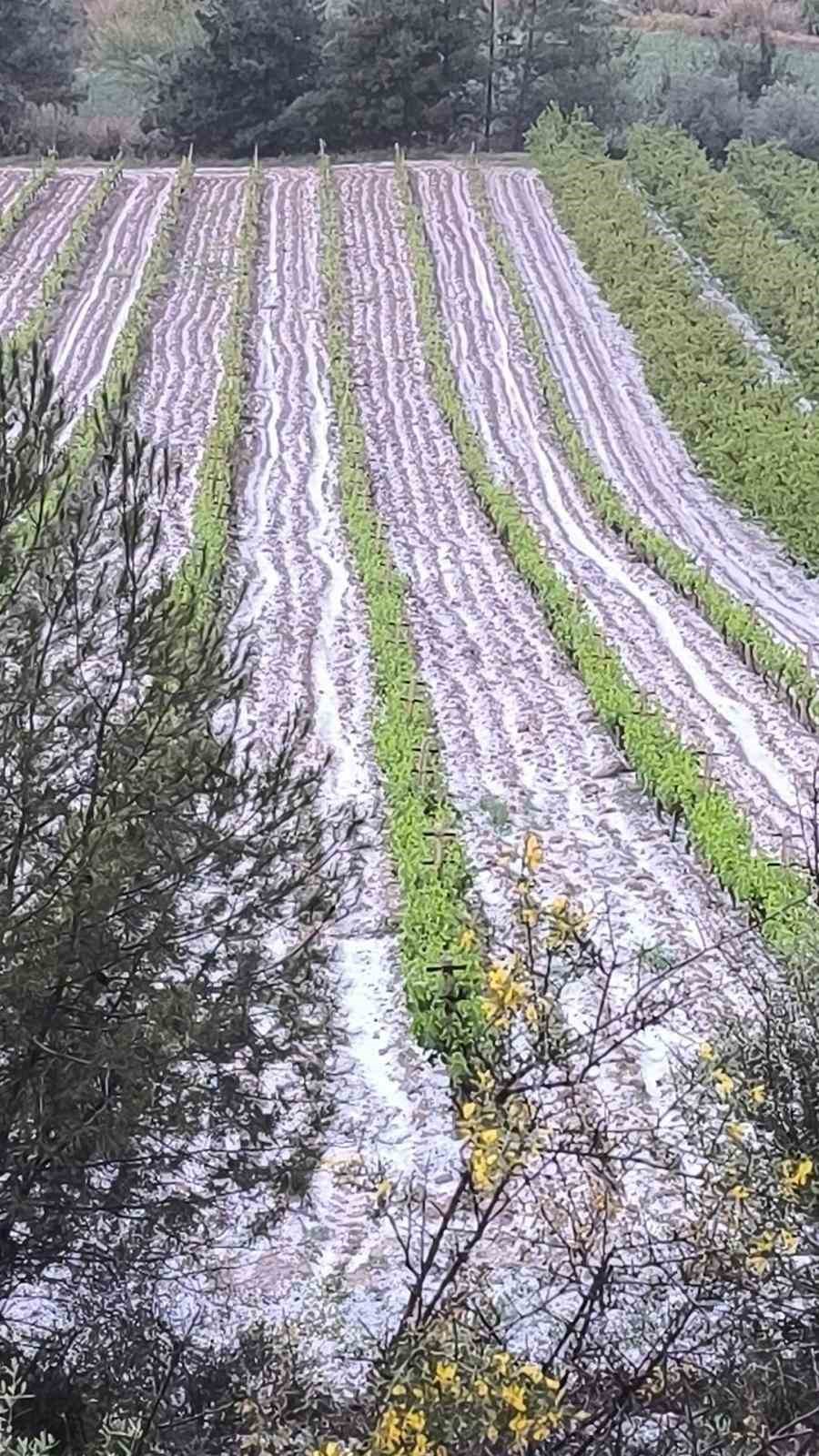 Mersin’de dolu tarım ürünlerine zarar verdi