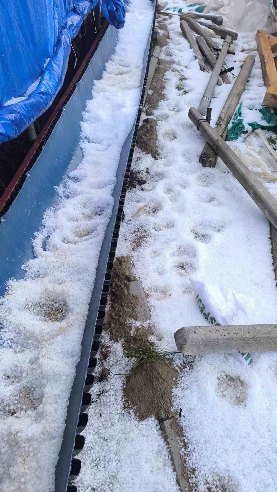 Mersin’de dolu tarım ürünlerine zarar verdi