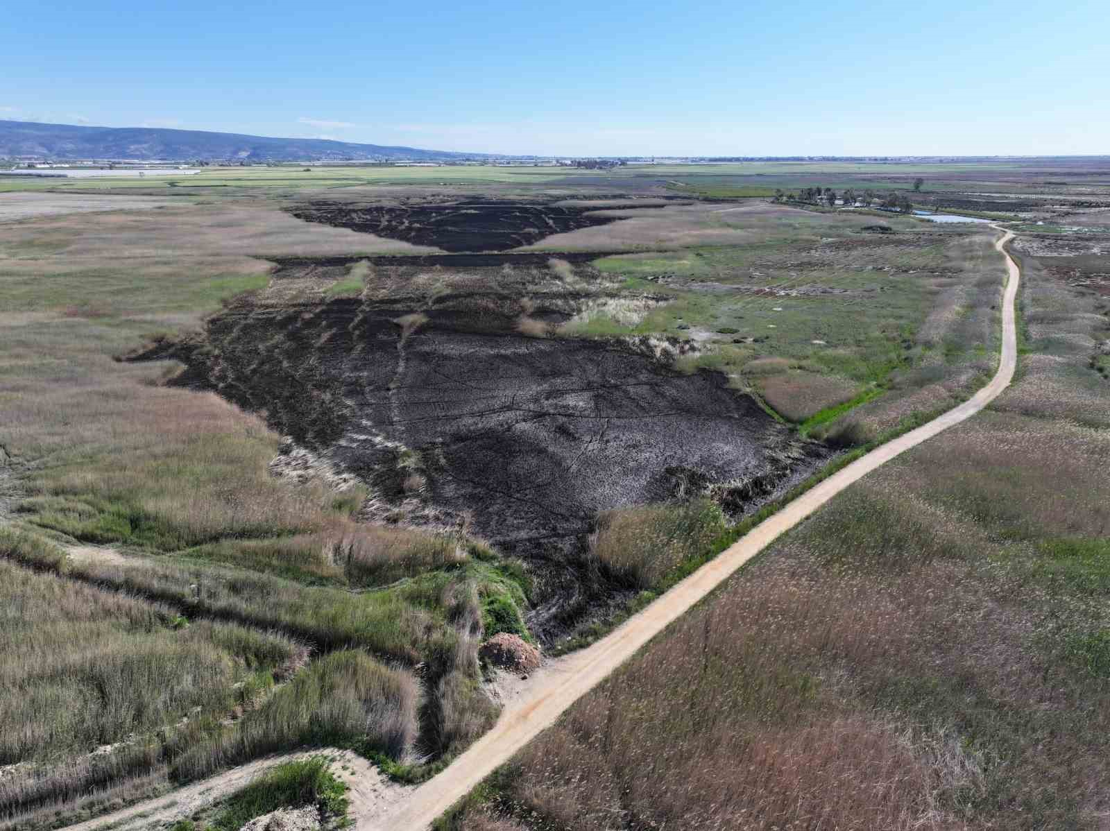 Kuş cenneti Göksu Deltası, yangın sonrası dronla görüntülendi