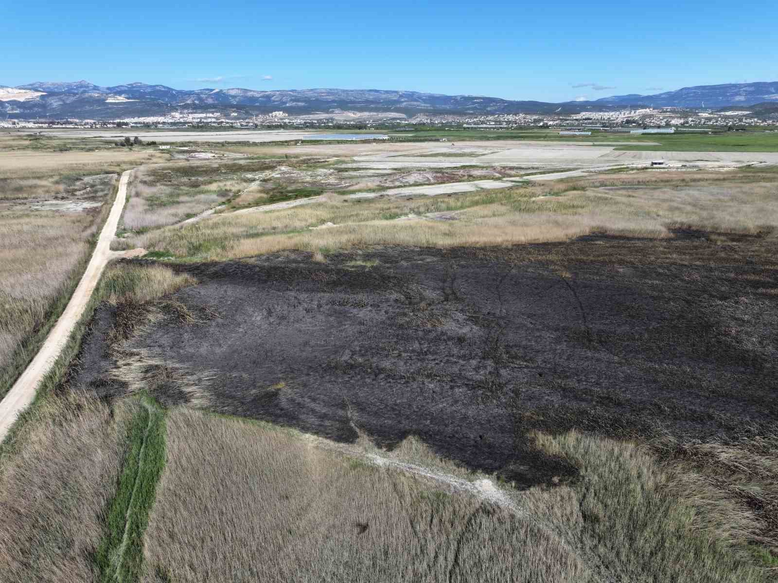 Kuş cenneti G&ouml;ksu Deltası, yangın sonrası dronla g&ouml;r&uuml;nt&uuml;lendi
