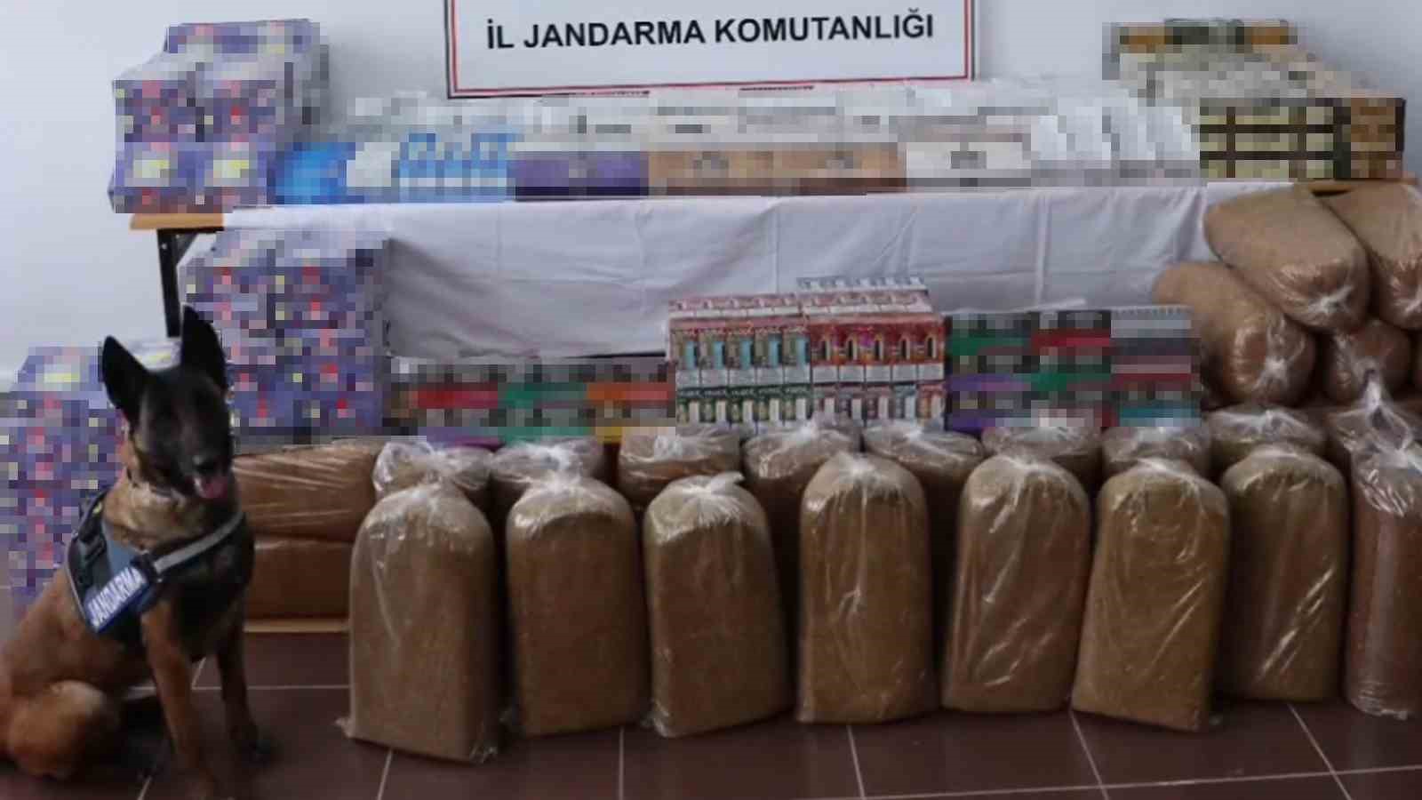 Tütün arama köpeğiyle tırda yapılan aramada çok sayıda kaçak ürün ele geçirdi