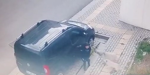 Orhangazi’de başıboş köpekler küçük çocuğa büyük korku yaşattı