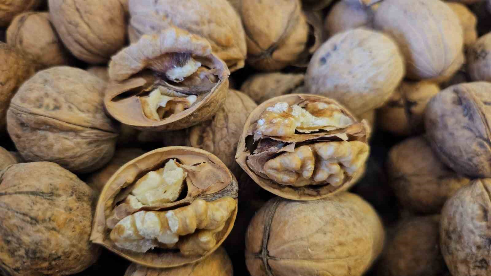 Adilcevaz’dan yurdun dört bir yanına ceviz fidanı