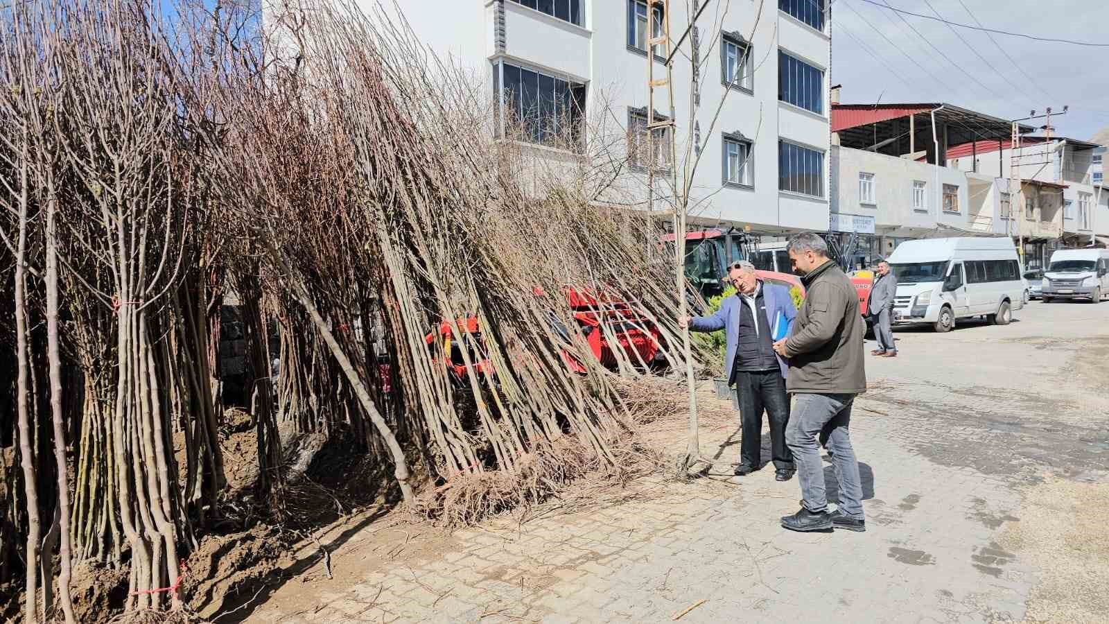 Adilcevaz&rsquo;dan yurdun d&ouml;rt bir yanına ceviz fidanı
