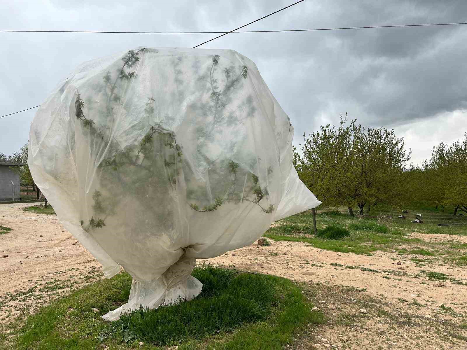 Malatya’da kayısı üreticilerinden "zirai don" önlemi