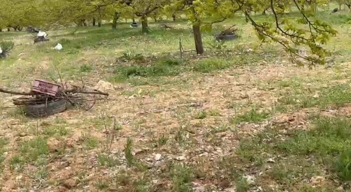 Malatya’da kayısı üreticilerinden "zirai don" önlemi