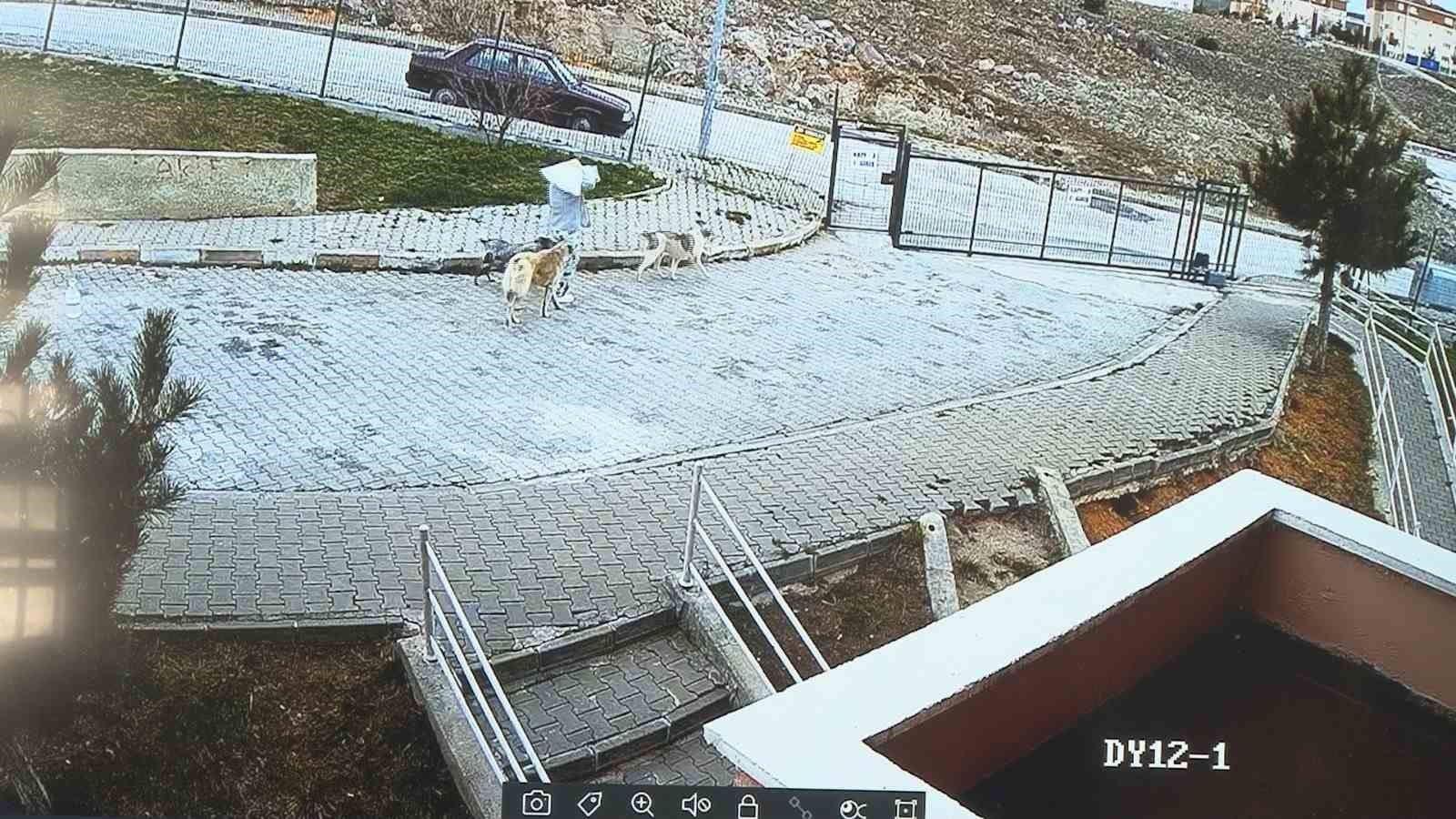 Beslediği sokak k&ouml;pekleri &ccedil;ocuklara saldırırken seyirci kaldı
