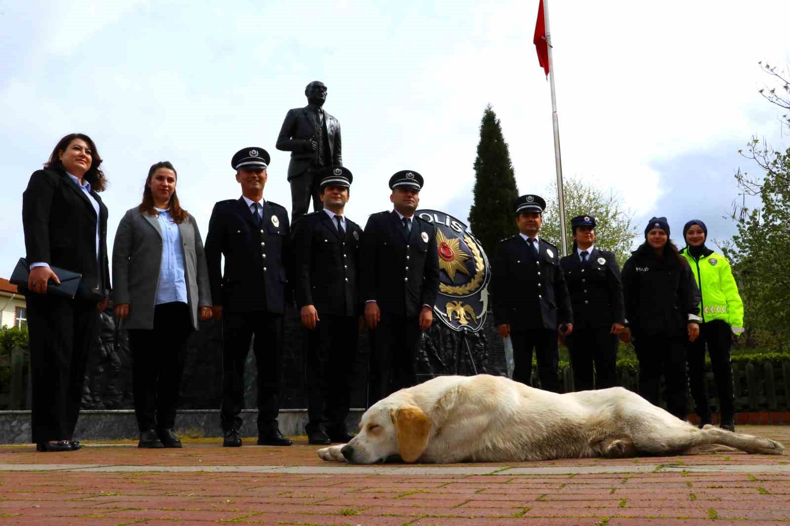 Taşova’da sokak köpeği törende polislerin yanında uyudu