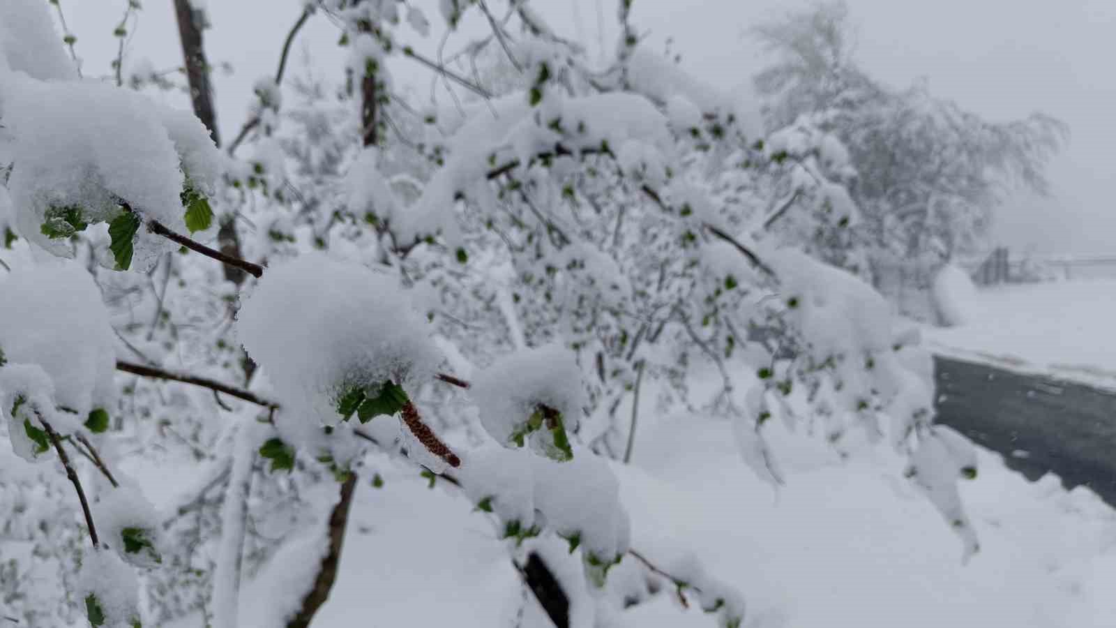 Meteorolojiden Ordu için ’sarı kodlu’ uyarı