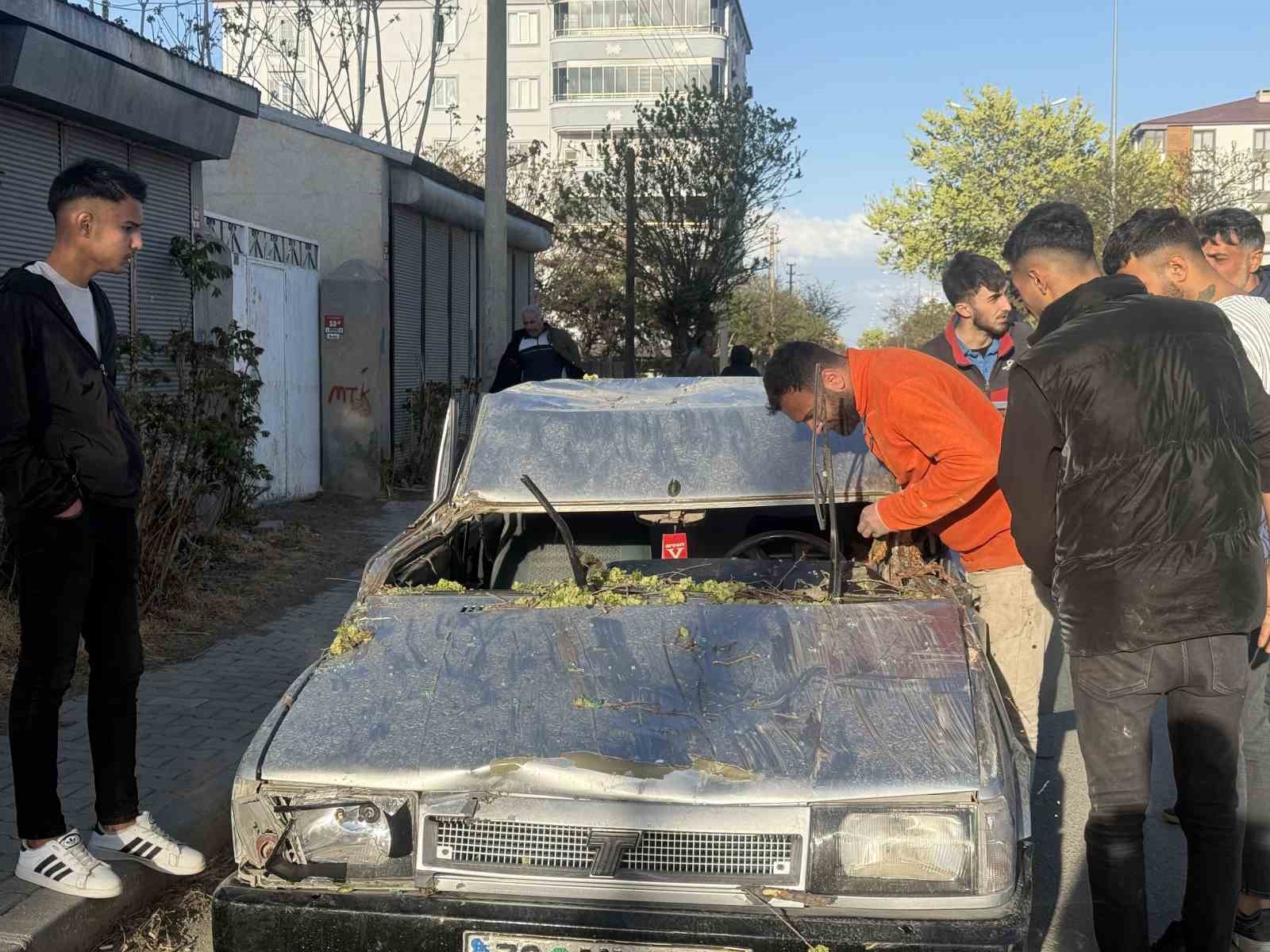 Iğdır’da seyir halindeki aracın üzerine ağaç devrildi, sürücü yaralandı