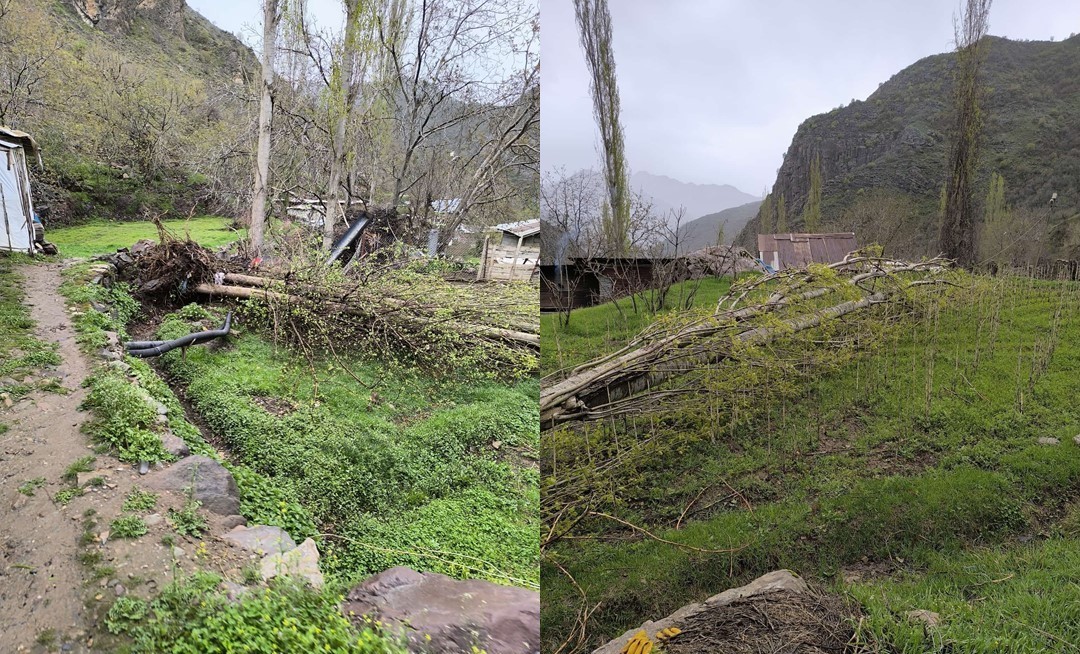 Çukurca’da şiddetli fırtına ağaçları devirdi
