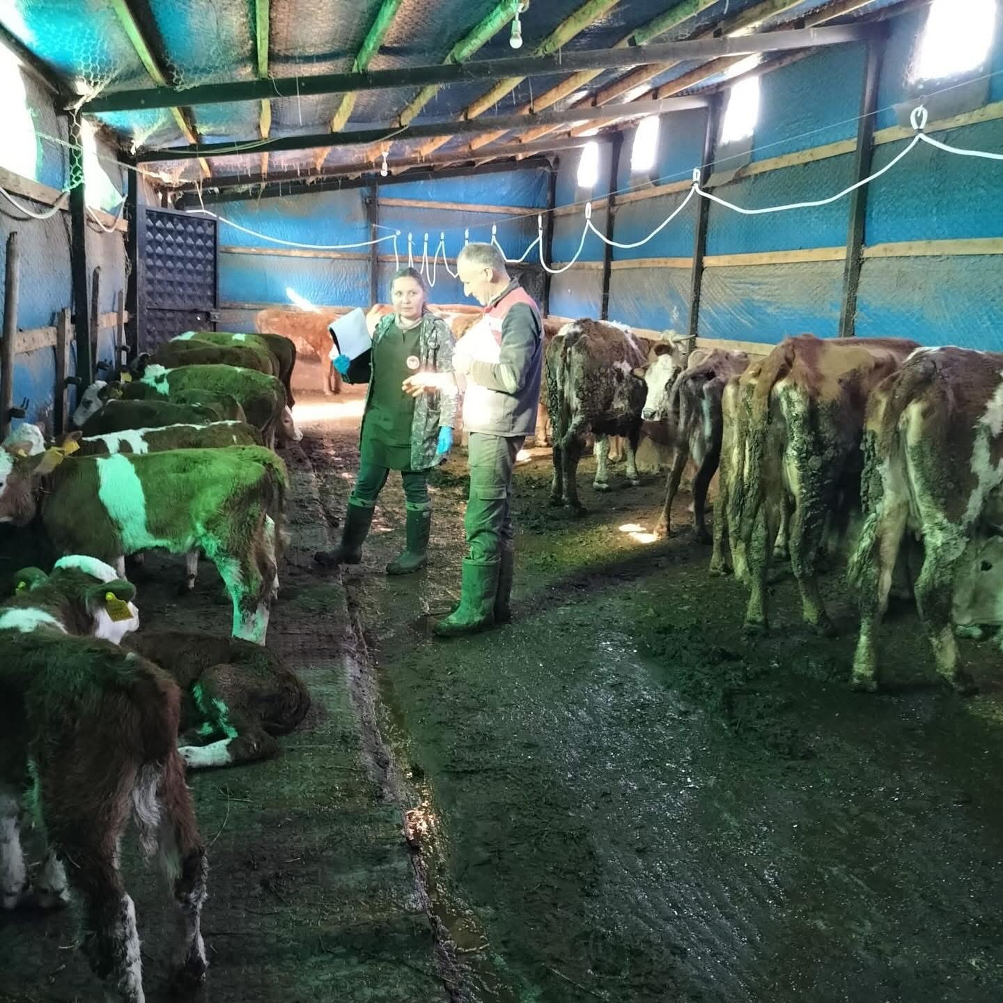 Elazığ&rsquo;da aşı ve k&uuml;peleme &ccedil;alışması
