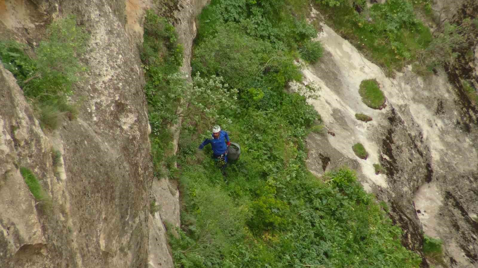 Ölüme meydan okuyup 400 metrelik kayalıklarda şifa için ot topladı