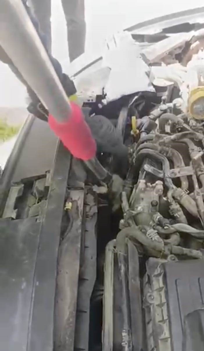 Kedinin otomobilin motor kısmında doğurduğu yavruları kurtarıldı
